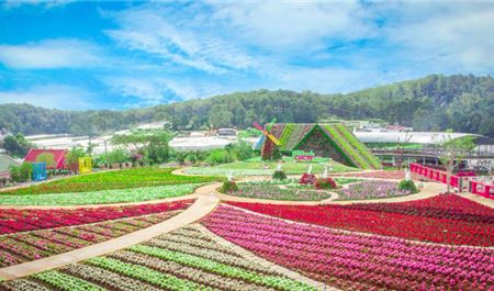 Tour Đà Lạt Nửa Ngày: Mongo Land - Mario Kart - Cafe Mê Linh