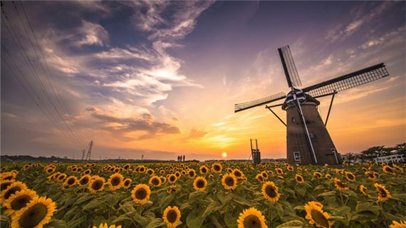 Sakura Furusato Square.