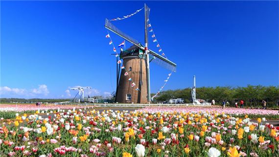 Sakura Furusato Square.