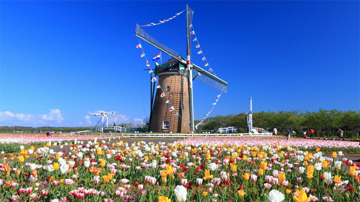 Sakura Furusato Square.