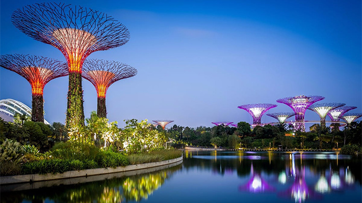 Gardens By The Bay - Kỳ quan thiên nhiên giữa lòng đô thị.