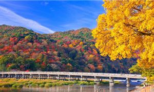 ivivu-cau-togetsukyo.jpg