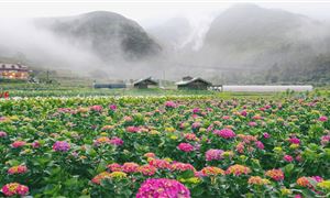 Công viên Dương Minh Sơn.