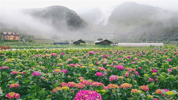 Công viên Dương Minh Sơn.