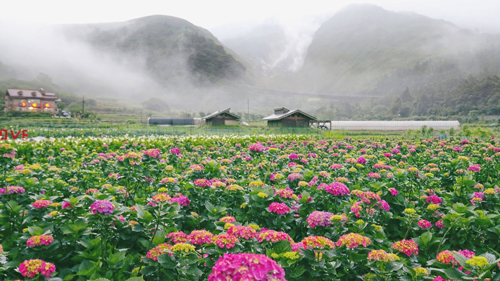 Công viên Dương Minh Sơn.