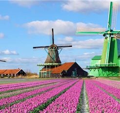 Tour Châu Âu 9N8Đ: HCM - Đức - Luxembourg - Pháp - Bỉ - Hà Lan - Vườn Hoa Keukenhof