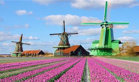 Tour Châu Âu 9N8Đ: HCM - Đức - Luxembourg - Pháp - Bỉ - Hà Lan - Vườn Hoa Keukenhof