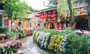 Lệ Giang.