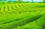 Ngày 4
