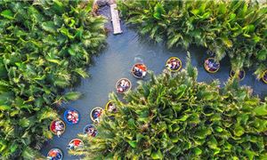 Rừng Dừa Bảy Mẫu