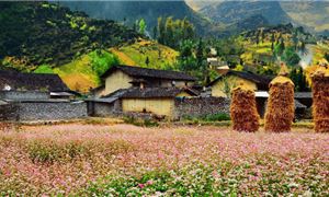 ivivu-ha-giang.gif