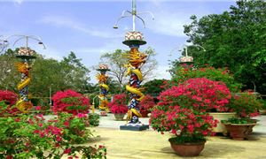 ivivu-con-phung.gif