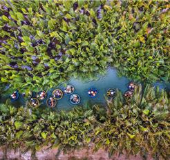 Tour Đà Nẵng Trong Ngày: Rừng Dừa 7 Mẫu