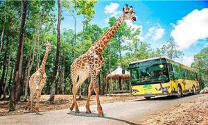 Safari World.