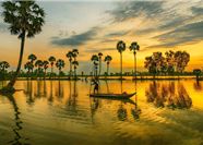 Tour Miền Tây Trong Ngày: Khởi Hành Từ Cần Thơ - Rừng Tràm Trà Sư - Châu Đốc