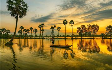 Tour Miền Tây Trong Ngày: Khởi Hành Từ Cần Thơ - Rừng Tràm Trà Sư - Châu Đốc