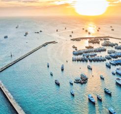 Tour Phú Quý 3N3Đ: HCM - Hòn Tranh - Đảo Phú Quý Huyền Thoại