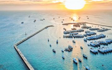 Tour Phú Quý 3N2Đ: HCM - Hòn Tranh - Đảo Phú Quý Huyền Thoại