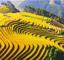 Tour Tây Bắc 5N4Đ: HCM - Mù Cang Chải - Sapa - Fansipan