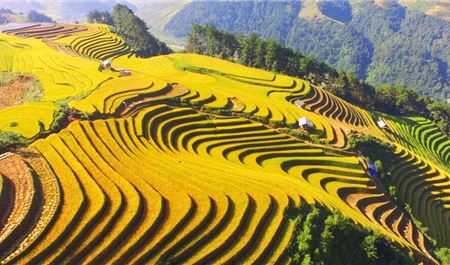 Tour Tây Bắc 5N4Đ: HCM - Mù Cang Chải - Sapa - Fansipan