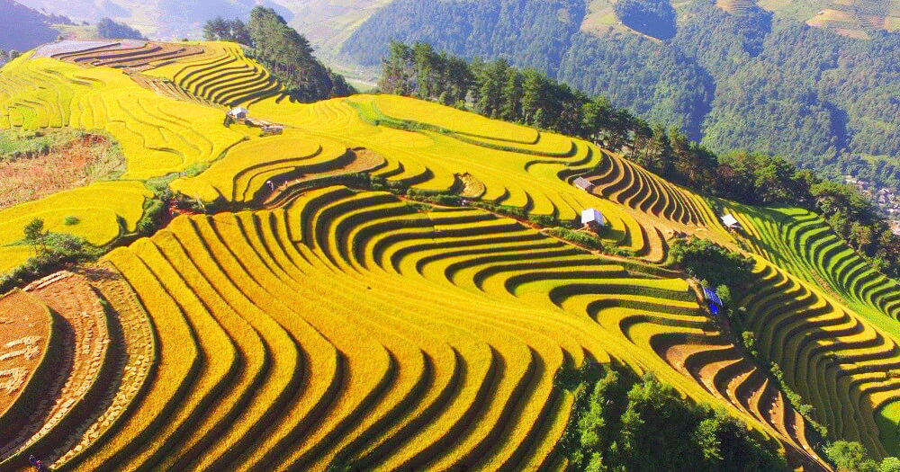 Tây Bắc 3N2Đ: Hà Nội – Mù Cang Chải – Trạm Tấu – Săn Mây Tà Xùa