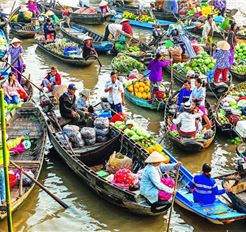 Tour Miền Tây Trong Ngày: Cần  Thơ City - Một Ngày Tây Đô