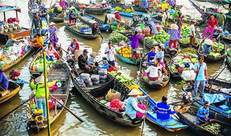 Tour Miền Tây Trong Ngày: Cần  Thơ City - Một Ngày Tây Đô