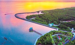 ivivu-mui-ca-mau-bia.gif