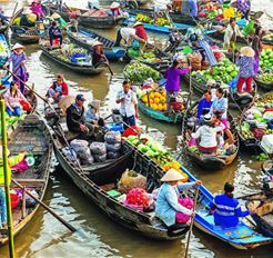 Tour Miền Tây 2N1Đ: Hành Trình Mỹ Tho - Bến Tre - Cần Thơ