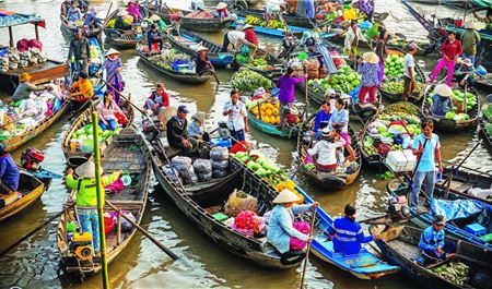 Tour Miền Tây 2N1Đ: Hành Trình Mỹ Tho - Bến Tre - Cần Thơ