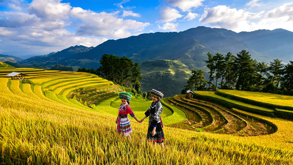 Tây Bắc 5N4Đ: HCM – Yên Bái – Mù Cang Chải – Sapa – Mùa Lúa Chín