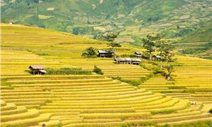 ivivu-ruong-bac-thang-bia.gif