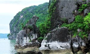 Hòn Chó Đá