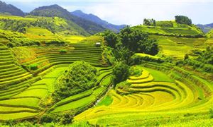 Pù Luông