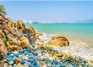 Tour Quy Nhơn Nửa Ngày: Khám Phá Thành Phố Quy Nhơn