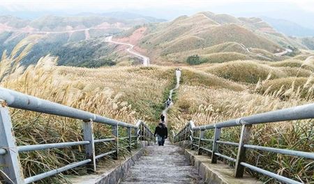 Tour Bình Liêu 2N1Đ: Hà Nội - Khám Phá Tiên Yên - Thiên Đường Hoa Cỏ Lau