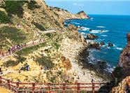 Tour Quy Nhơn Trong Ngày: Khám Phá Kỳ Co - Eo Gió