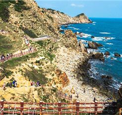 Tour Quy Nhơn Trong Ngày: Khám Phá Kỳ Co - Eo Gió