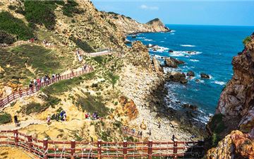 Tour Quy Nhơn Trong Ngày: Khám Phá Kỳ Co - Eo Gió