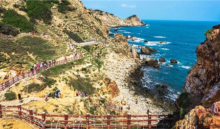 Tour Quy Nhơn Trong Ngày: Khám Phá Kỳ Co - Eo Gió