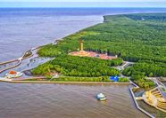 Tour Miền Tây 3N2Đ: HCM - Bến Tre - Cần Thơ - Cà Mau - Bạc Liêu