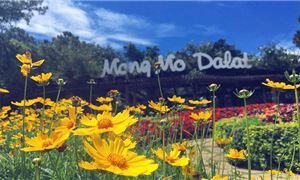 ivivu-doi-mong-mo-da-lat.gif