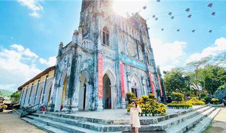 Tour Phú Yên Trong Ngày (Đón Từ Quy Nhơn): Khám Phá Vùng Đất Hoa Vàng Cỏ Xanh