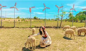 Bãi Nồm - Bãi biển thiên đường tại Bình Ba.