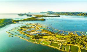Đầm Ô Loan.