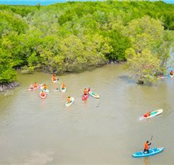 Tour Cần Giờ Một Ngày - Khám Phá Lâm Viên, Rừng Sác và Cá Sấu Hoa Cà