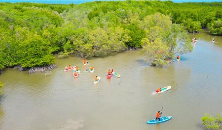 Tour Cần Giờ Một Ngày - Khám Phá Lâm Viên, Rừng Sác và Cá Sấu Hoa Cà