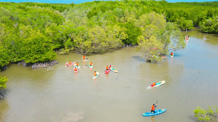Hoạt động chèo SUP