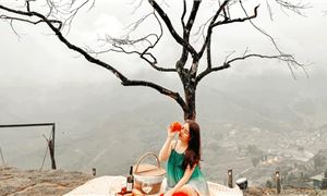 ivivu-moana-cay-co-don.gif