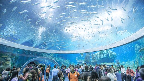 Viện Hải Dương Học Nha Trang: Thủy cung đa dạng, sinh vật biển phong phú, trải nghiệm hấp dẫn.